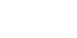 Logo-Region-150x300-1.png